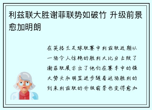 利兹联大胜谢菲联势如破竹 升级前景愈加明朗